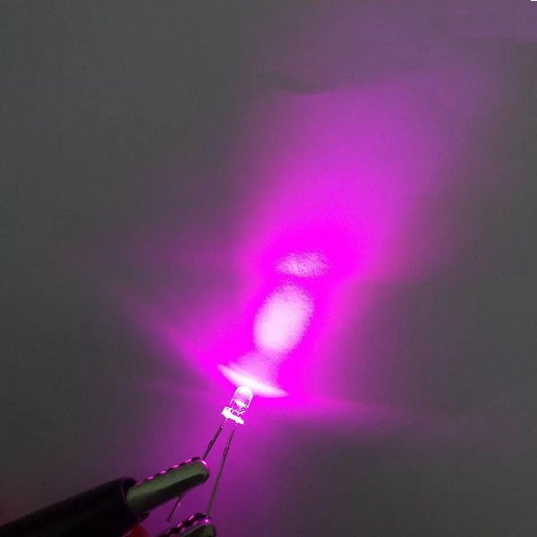 pink led light in bd